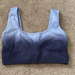 Buff Bunny Collection blue ombre bra